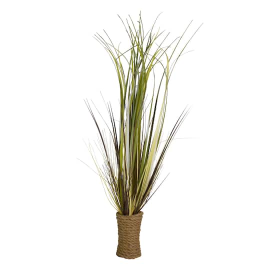 2.8ft. Long Grass Plant in Twisted Rope Pot